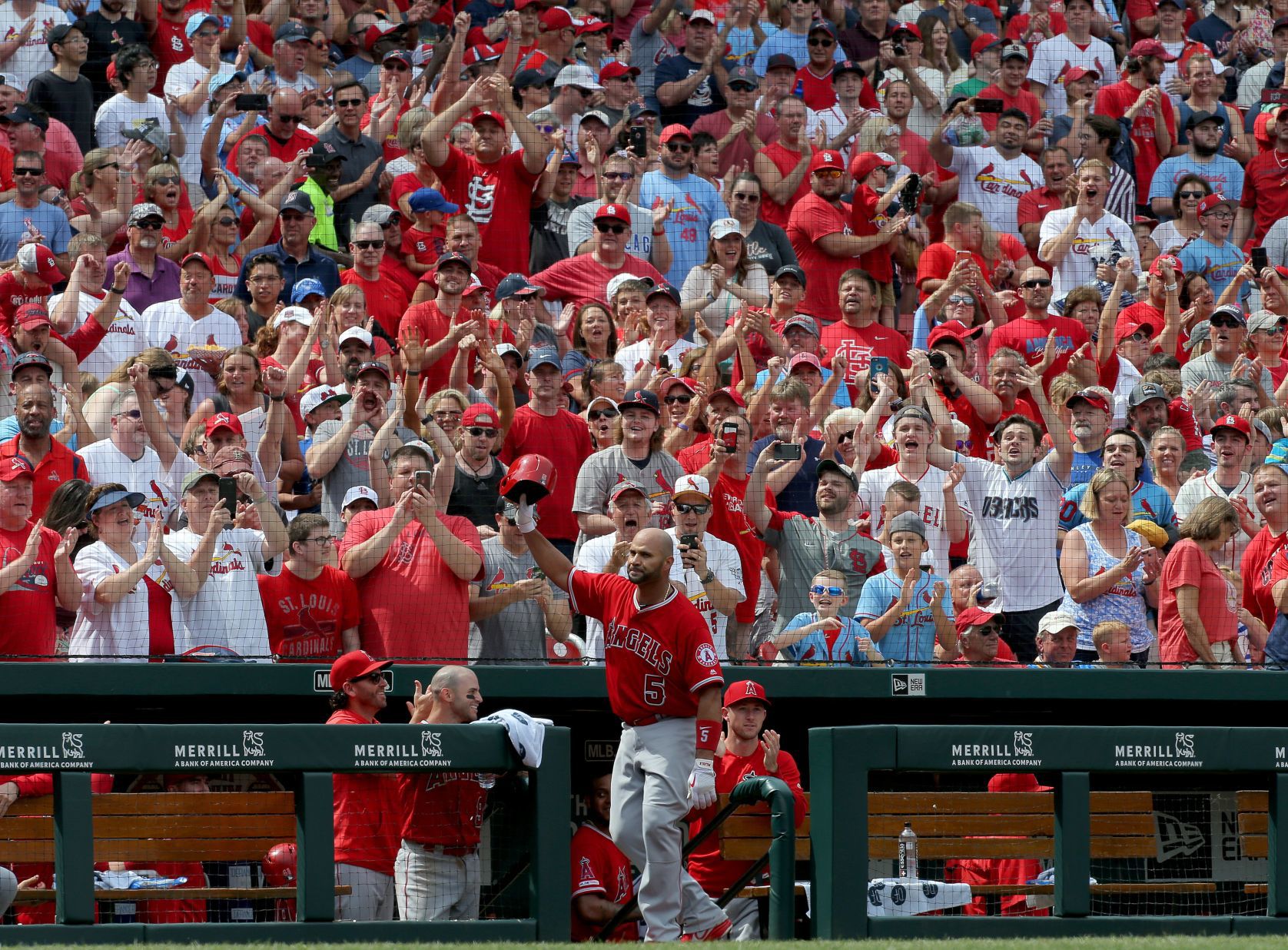 Cardinals host Angels